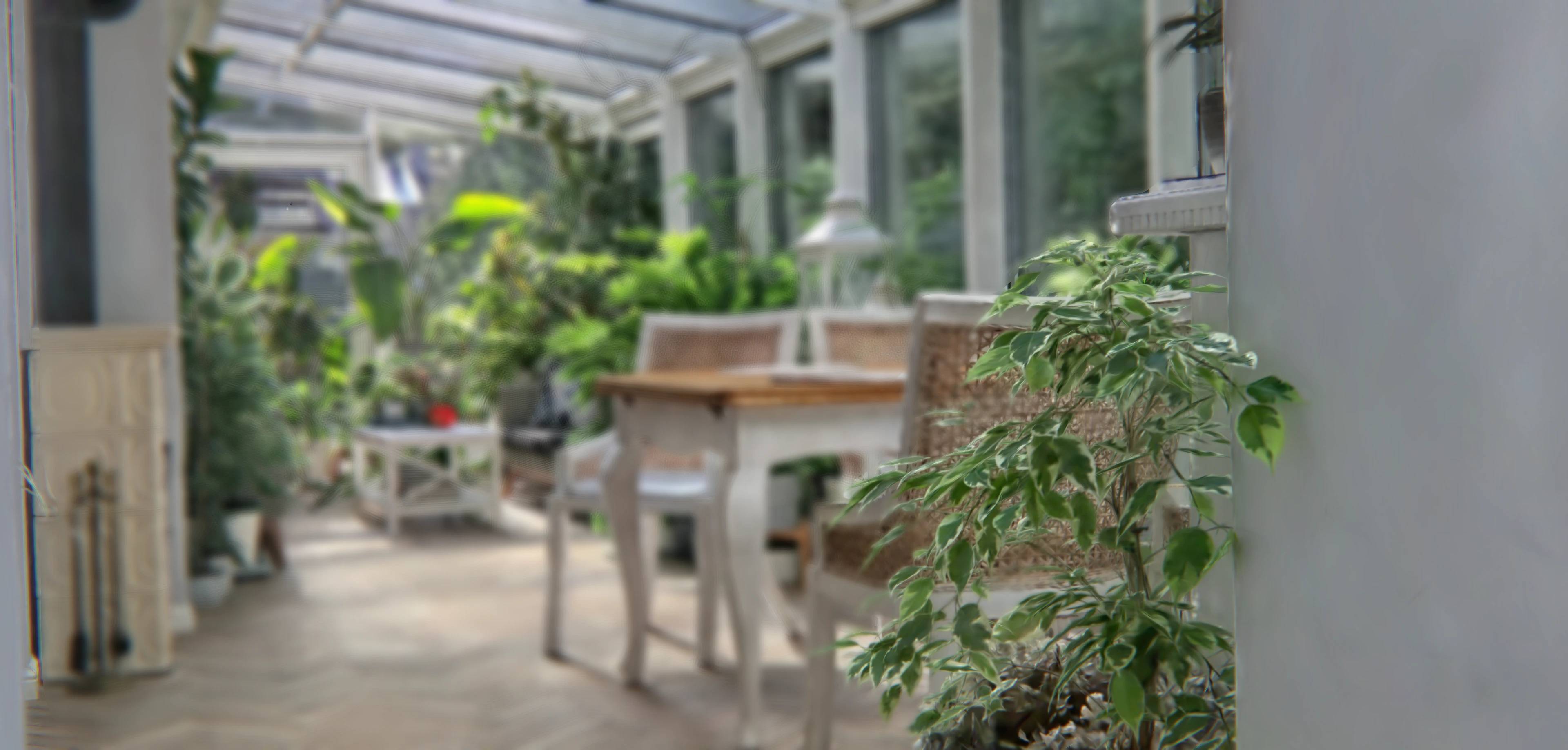 Depth of Field preview